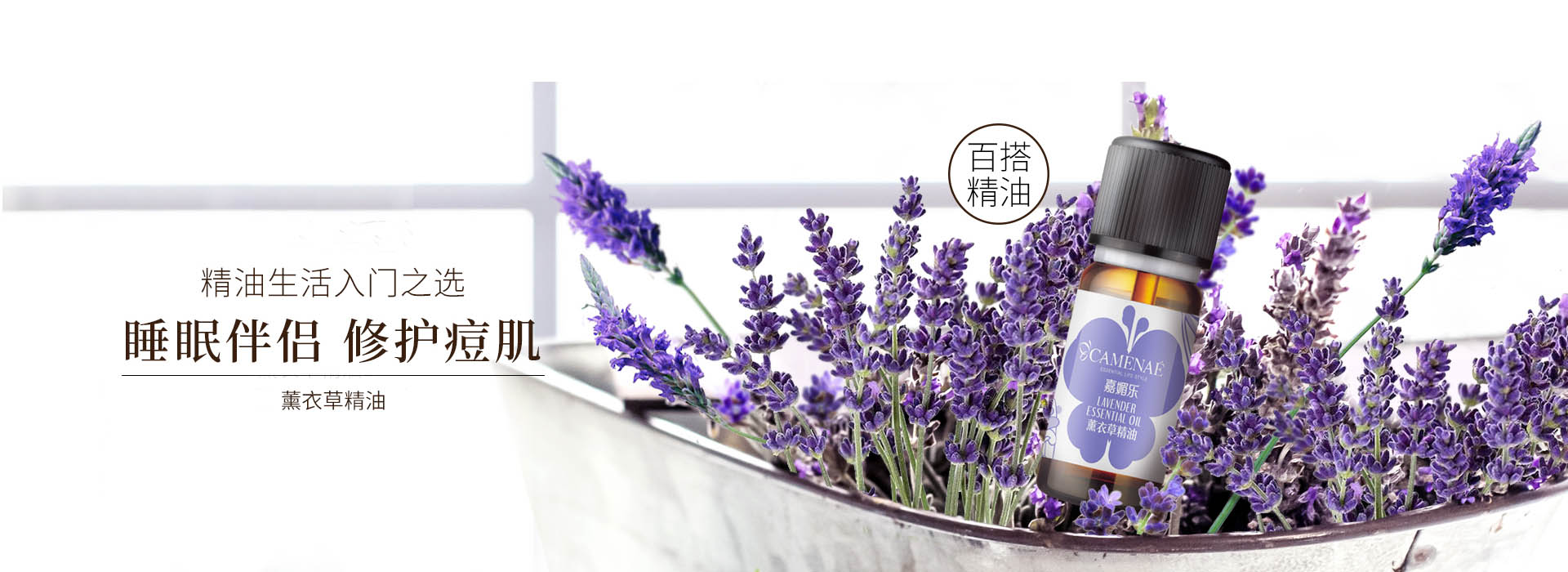 乐游网官网下载